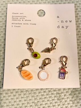 Set of 5 Charms. Never Used. Clasp closure